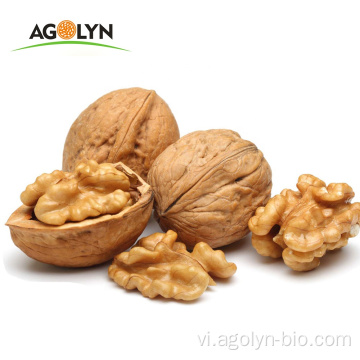 Agolyn Walnut thương hiệu vỏ giấy quả óc chó